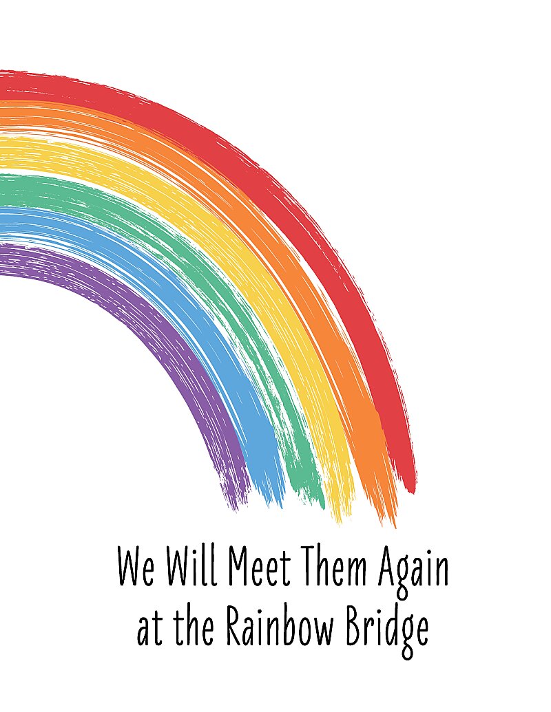 Across the Rainbow Bridge