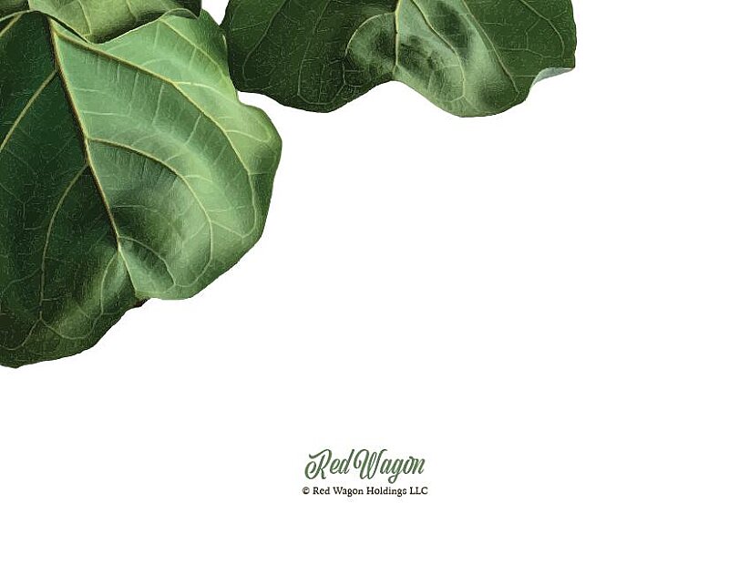 Fiddle Leaf Card