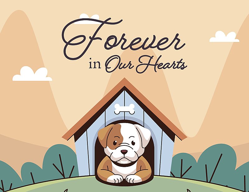 Forever in Our Hearts