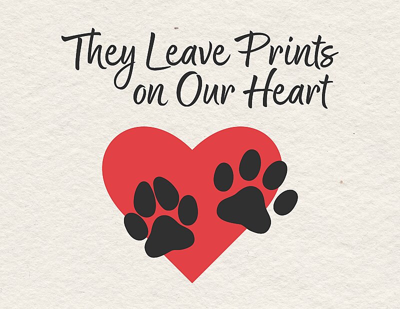 Forever in Your Heart