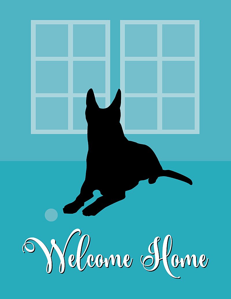 Pawsitively the Right Move