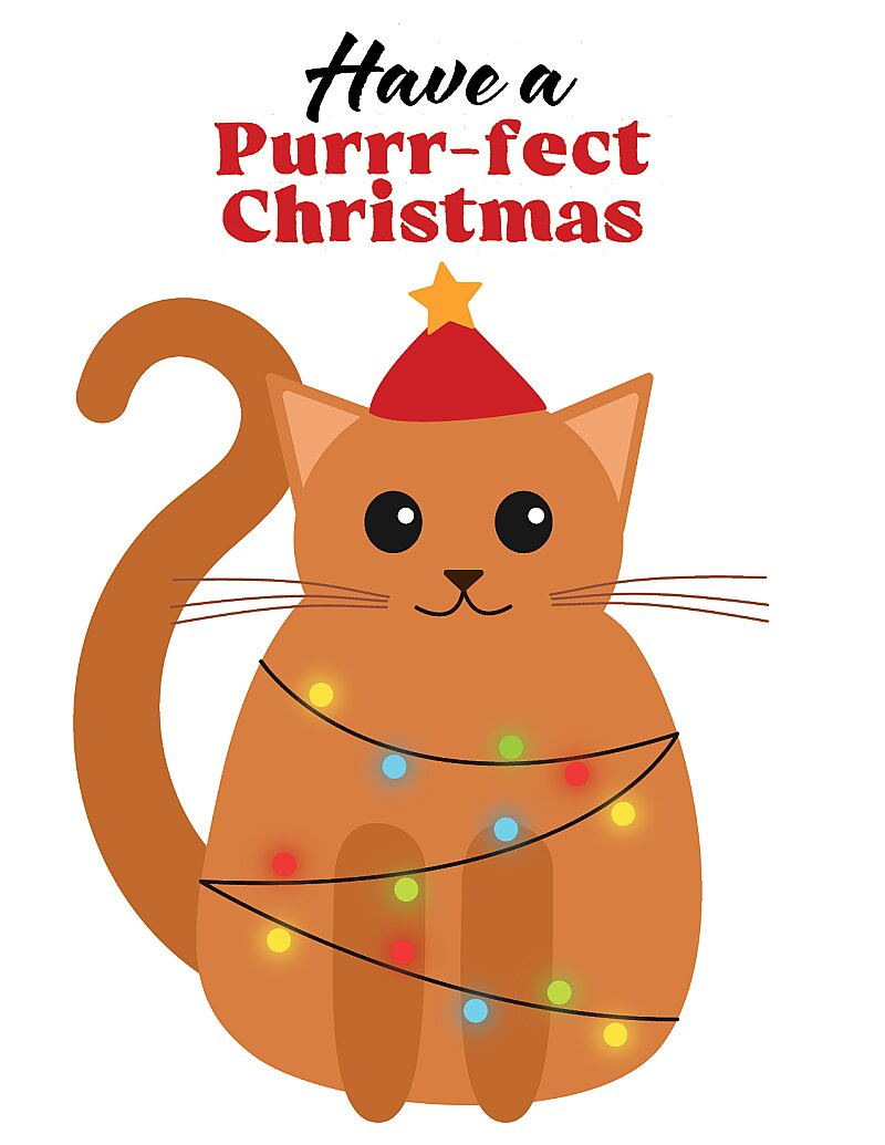 Purrr-fect Christmas