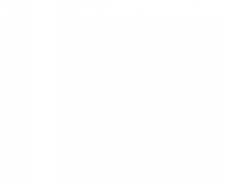 Snowy Trees Merry Christmas & Happy New Year