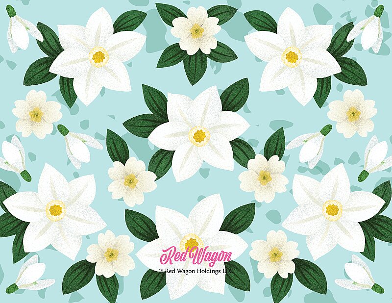 With Sympathy White Flowers