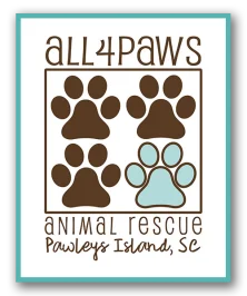 All 4 Paws logo