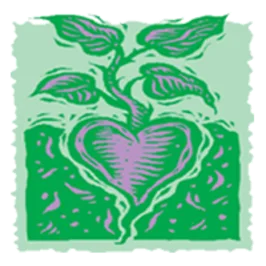 Aniz logo