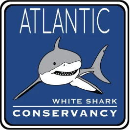 Atlantic White Shark Conservancy logo