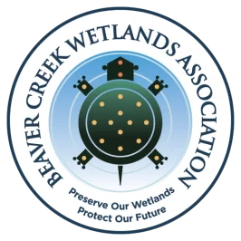 Beaver Creek Wetlands Association logo
