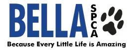 Bella Foundation logo