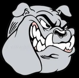 Brighton Bulldogs Football And Cheer logo