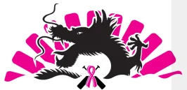 Dragon Dream Team logo