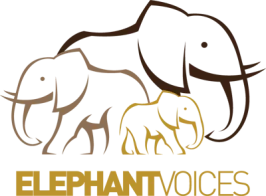 ElephantVoices logo