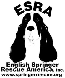 English Springer Rescue America logo