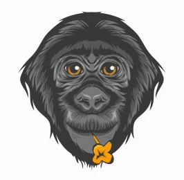 Friends Of Bonobos/Lola Ya Bonobo logo