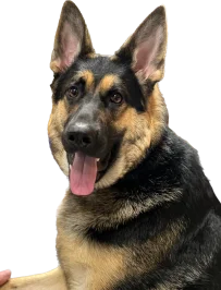 Hope Rescue Ranch logo