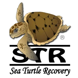 Sea Turtle Recovery logo