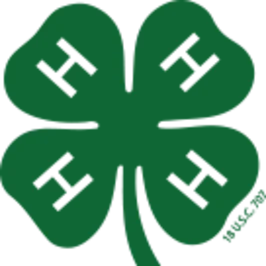 Texas 4-h - Channing 4-h Club logo