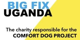The Big Fix logo