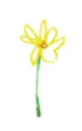 Wildflower Montessori School logo